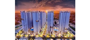 Cổ phiếu NLG