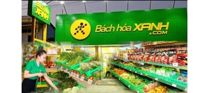 Cổ phiếu NLG