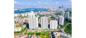 Cổ phiếu NLG