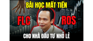 Cổ phiếu NLG