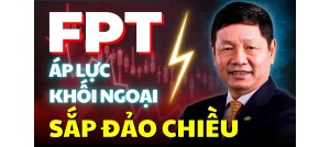 Cổ phiếu NLG