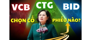 Cổ phiếu NLG