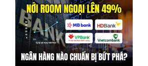 Cổ phiếu NLG