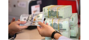 Cổ phiếu NLG