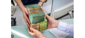 Cổ phiếu NLG