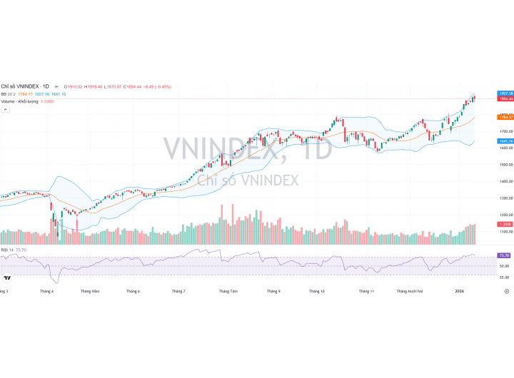 Thị trường 15/01/2026 - Sự phân hóa cực đoan là quá trình tái phân bổ danh mục quy mô lớn